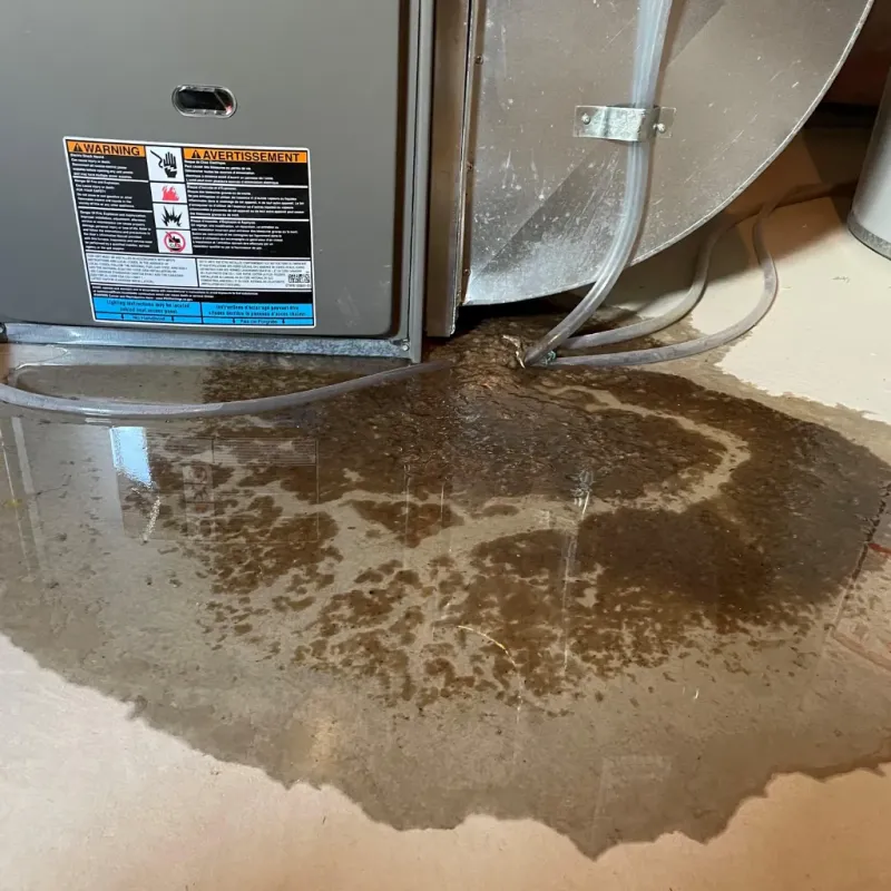 Appliance Leak Cleanup in Woodstock, VT